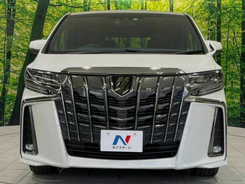 ALPHARD-14