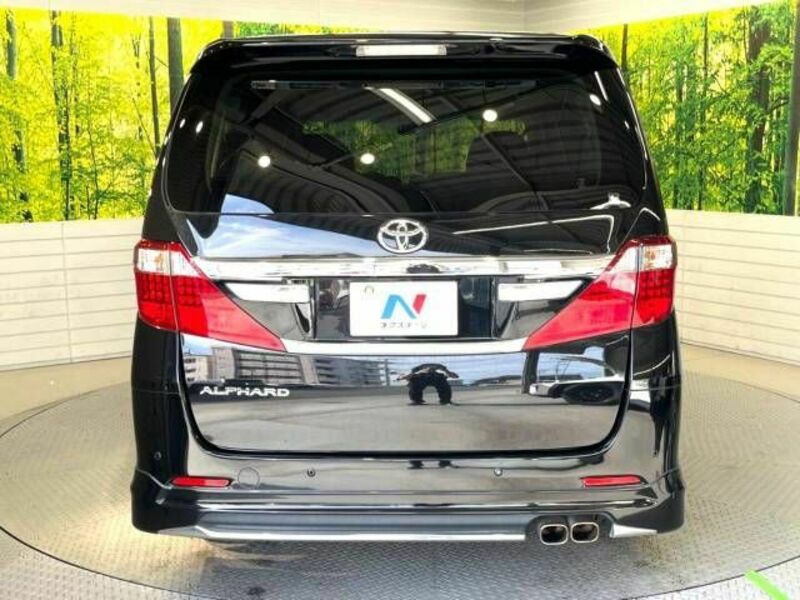 ALPHARD-16