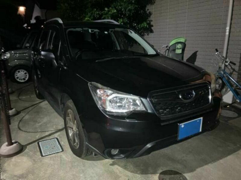 FORESTER-2