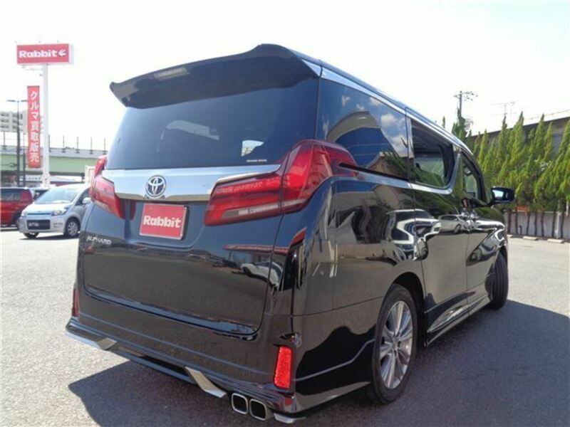 ALPHARD-11