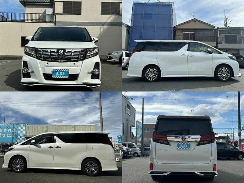 ALPHARD-1