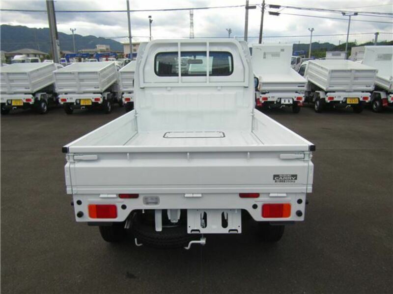 CARRY TRUCK-5