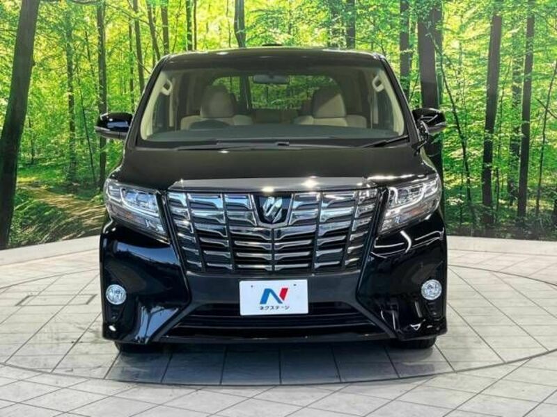 ALPHARD-15