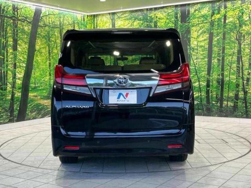 ALPHARD-16