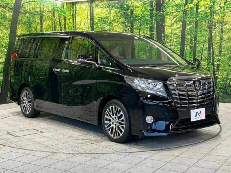 ALPHARD-17