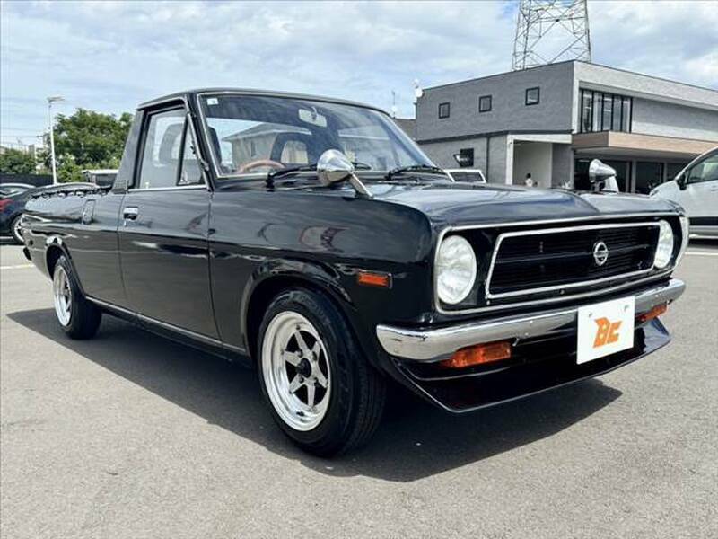 SUNNY TRUCK-7