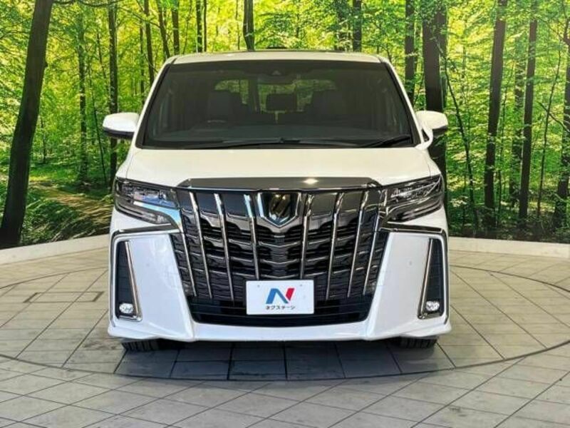 ALPHARD-15