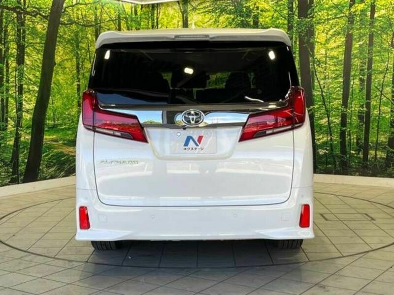 ALPHARD-16