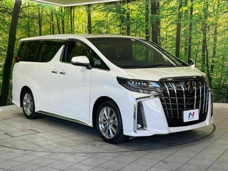 ALPHARD-17