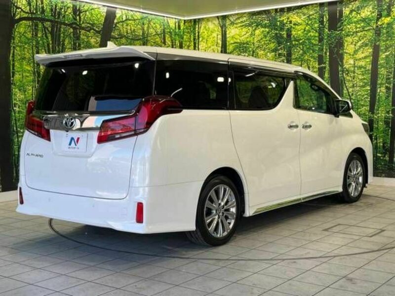 ALPHARD-18