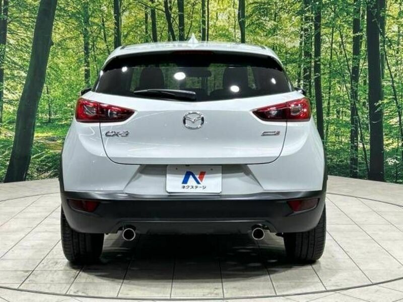 CX-3-15