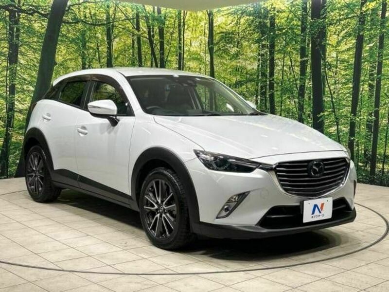 CX-3-16