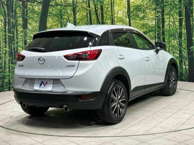 CX-3-17