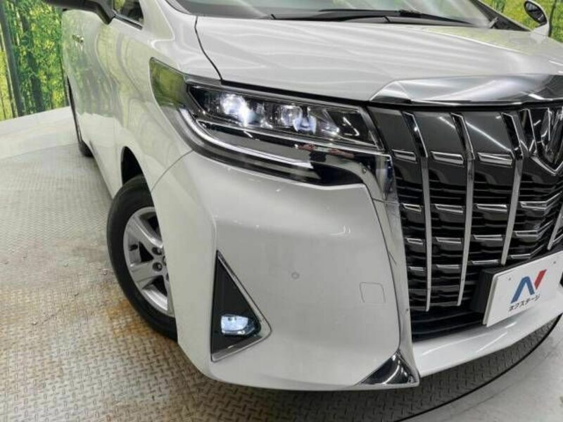 ALPHARD-13