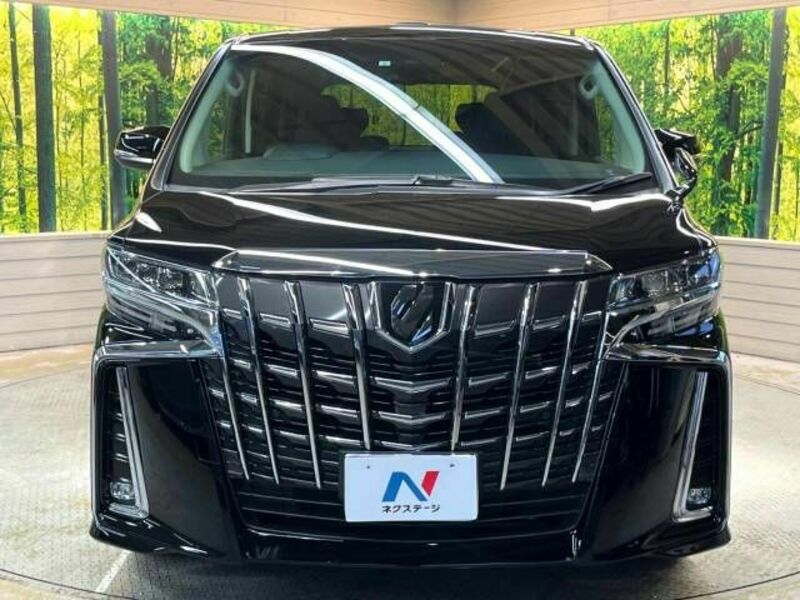 ALPHARD-15