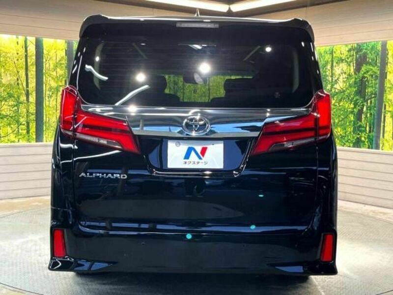 ALPHARD-16