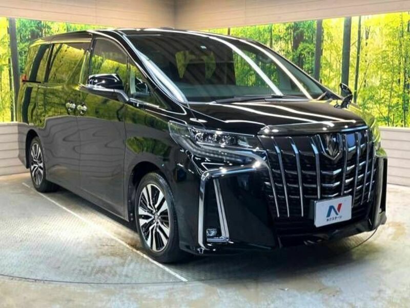 ALPHARD-17