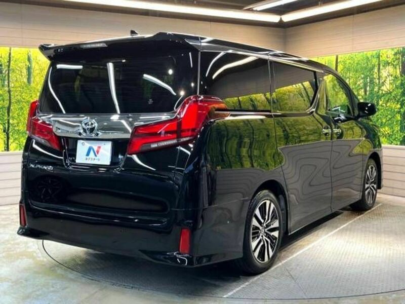 ALPHARD-18