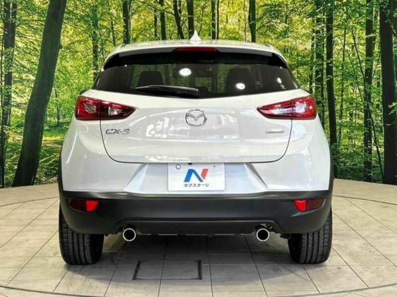 CX-3-15