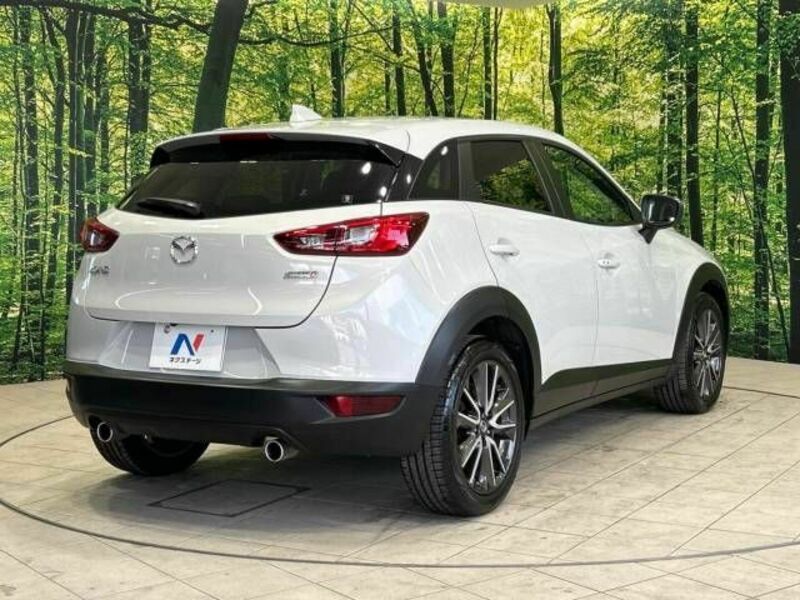 CX-3-17