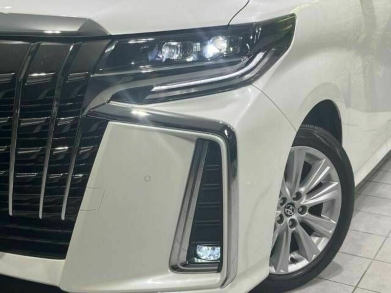 ALPHARD-13