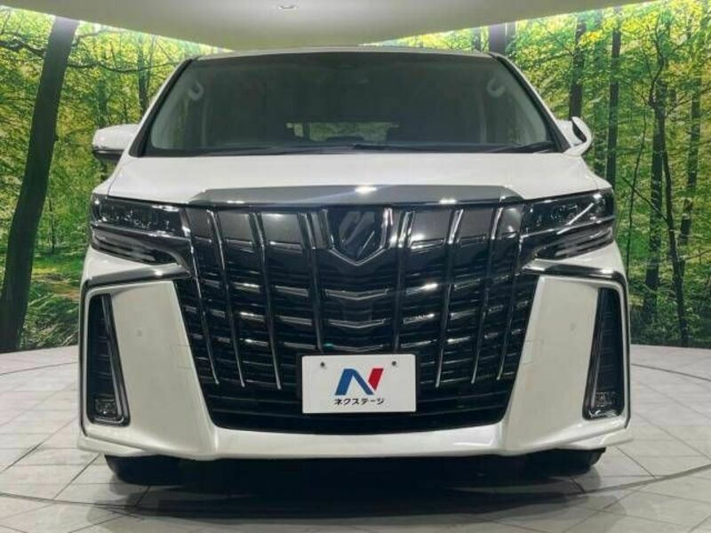 ALPHARD-15