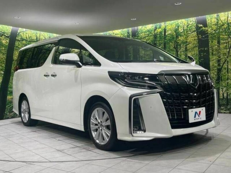 ALPHARD-17