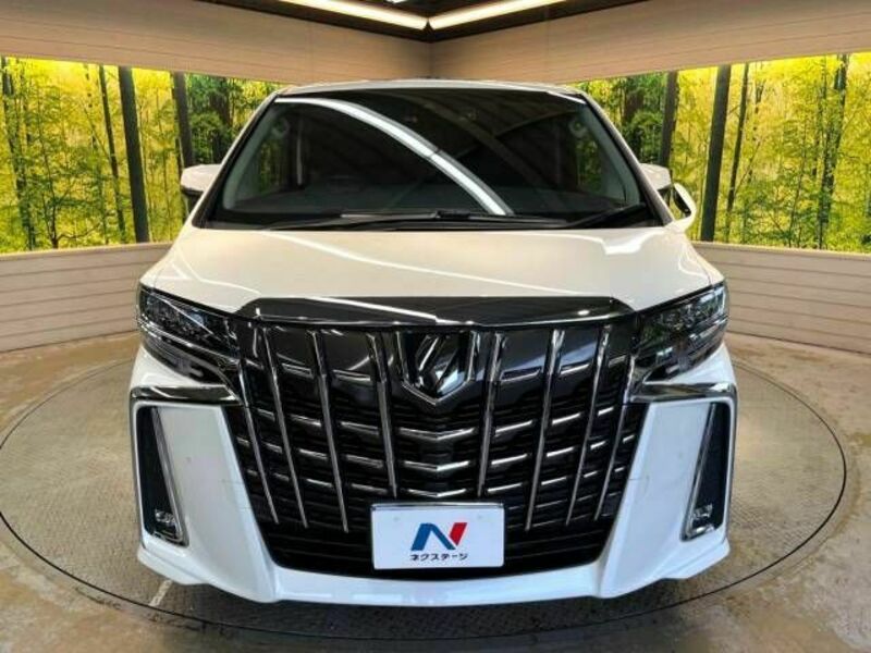 ALPHARD-14