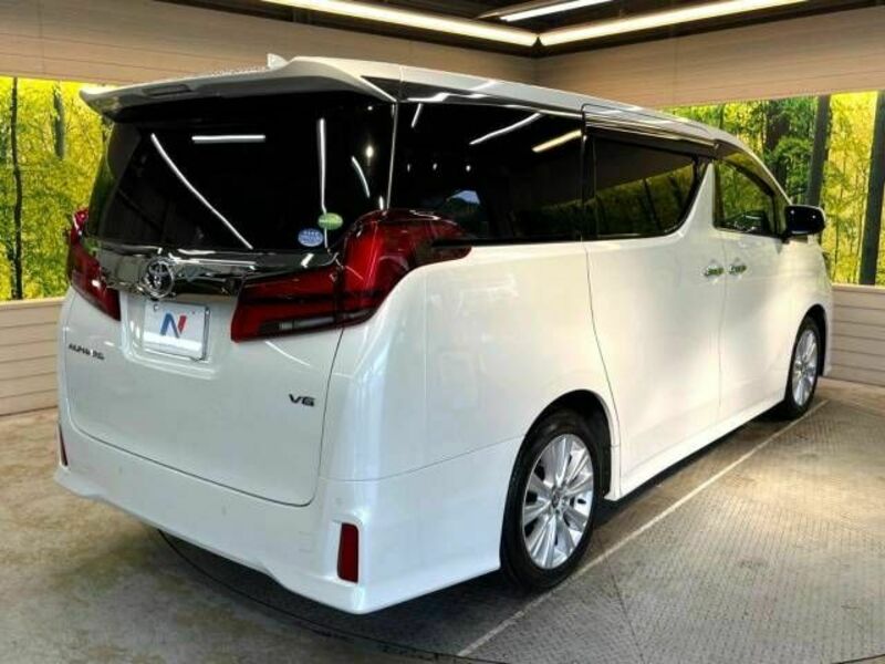 ALPHARD-17