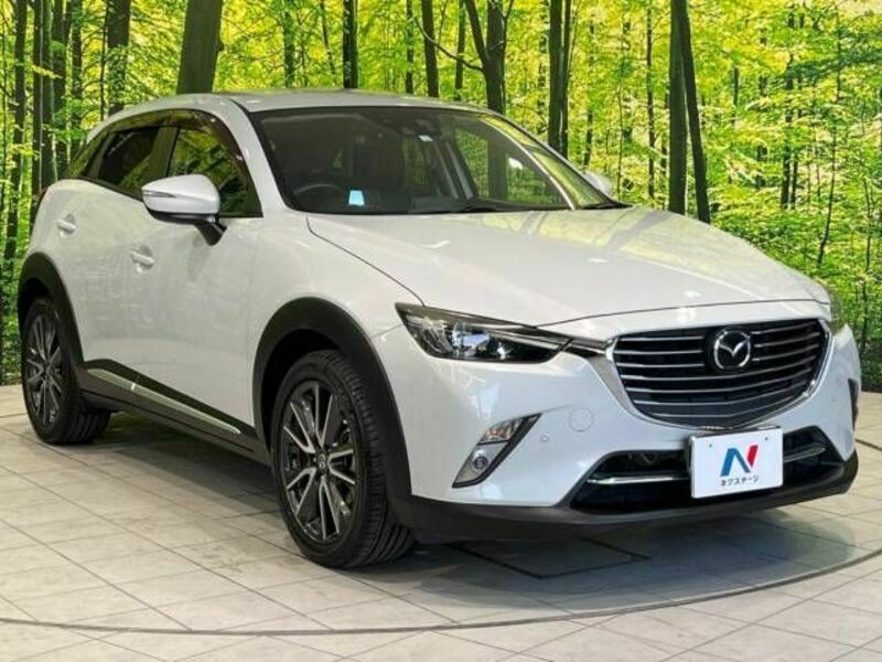 CX-3-17