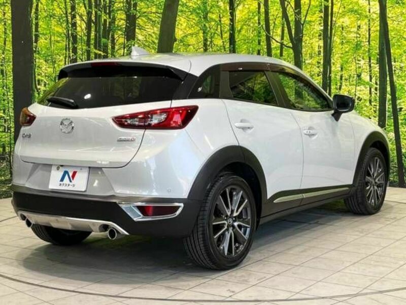 CX-3-18