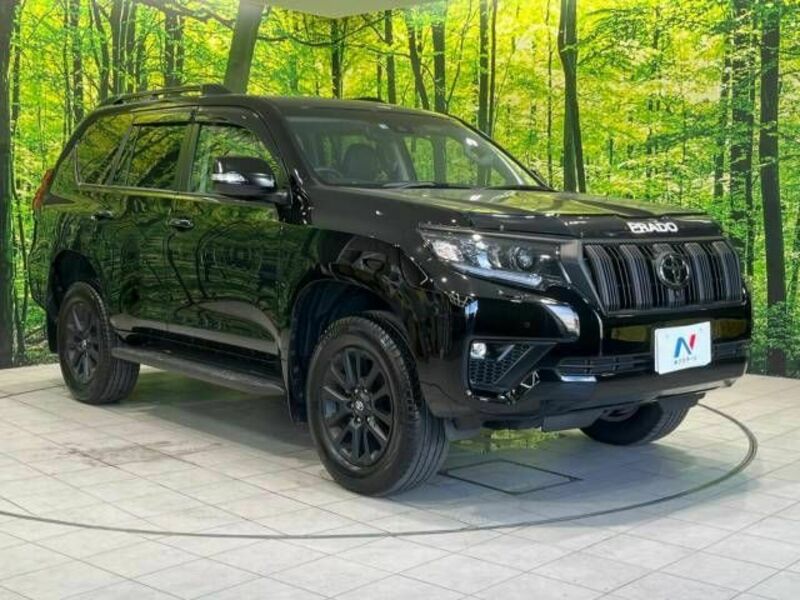 LAND CRUISER PRADO-18