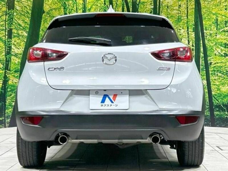 CX-3-15