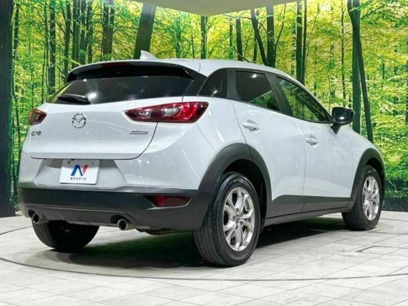 CX-3-17