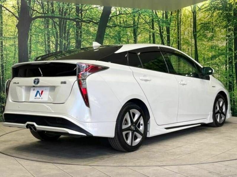 PRIUS-17