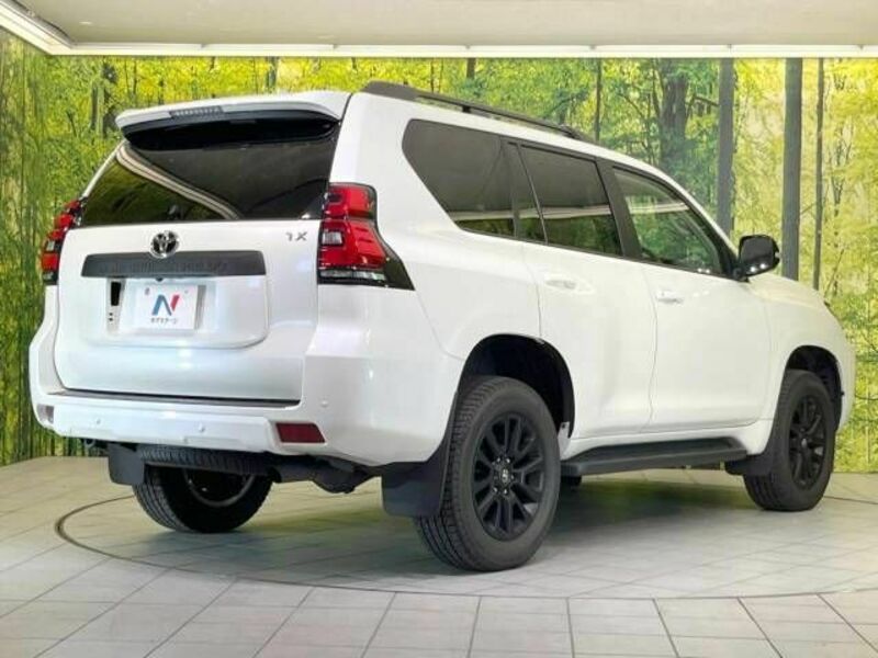 LAND CRUISER PRADO-17