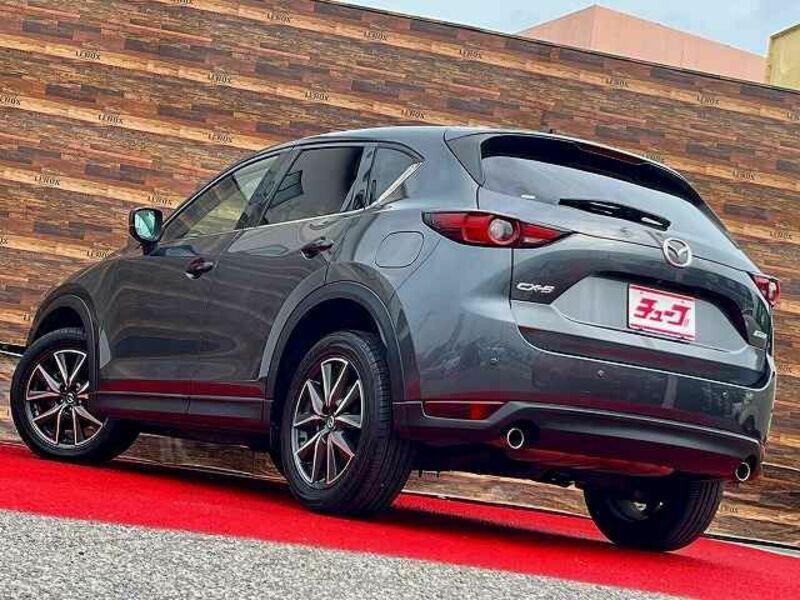 CX-5-8