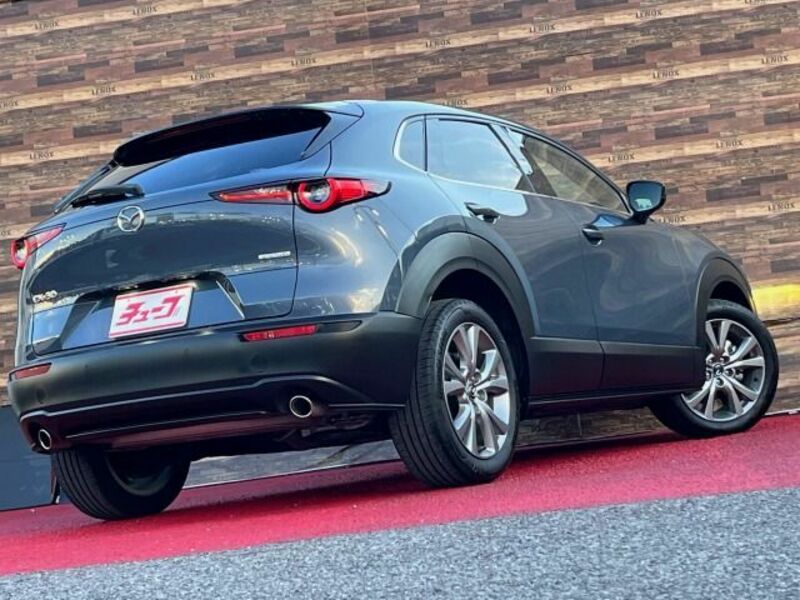 CX-30-2