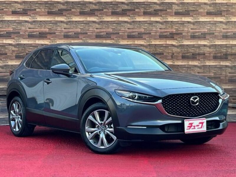 CX-30-6