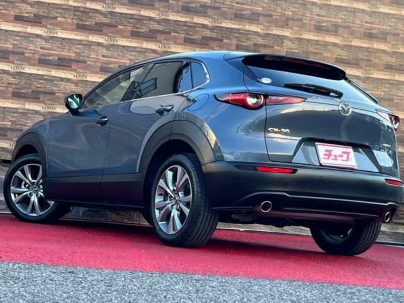 CX-30-8