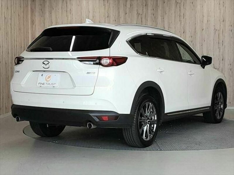 CX-8-21