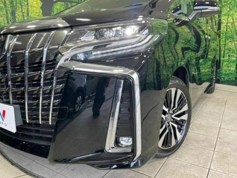 ALPHARD-13