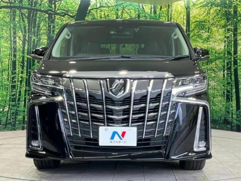 ALPHARD-15