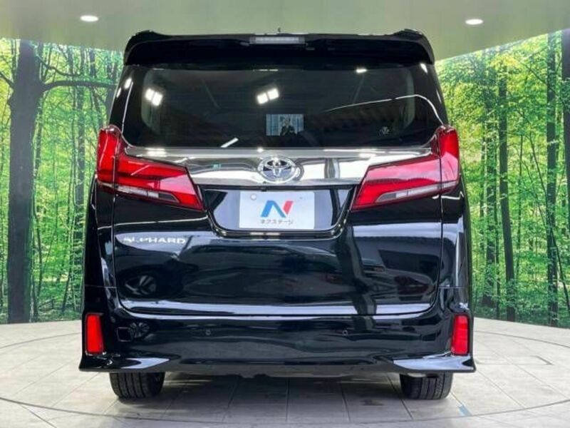 ALPHARD-16