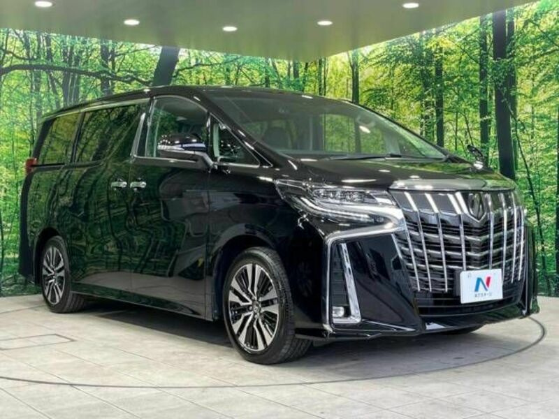 ALPHARD-17