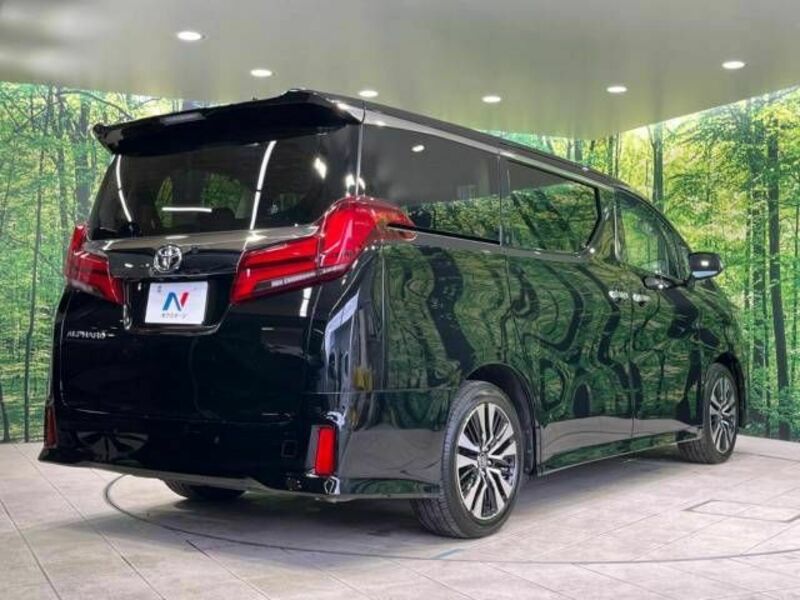 ALPHARD-18