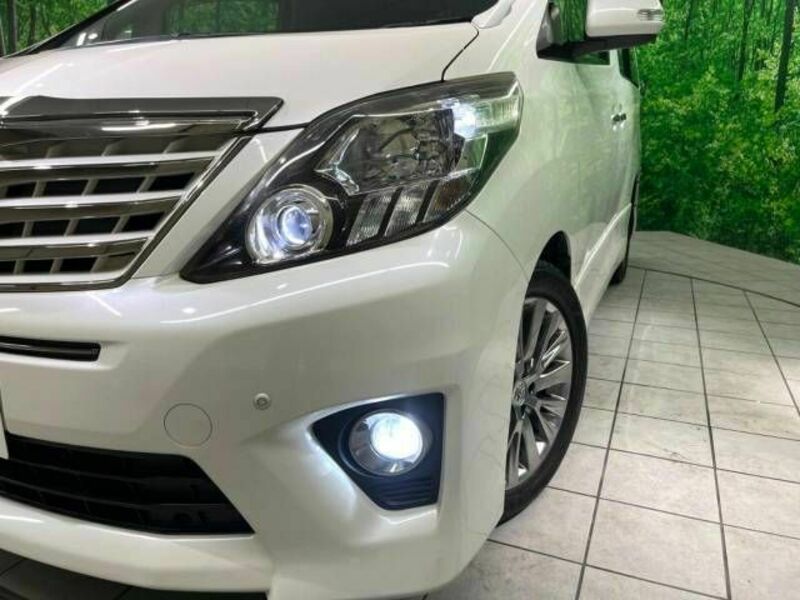 ALPHARD-13