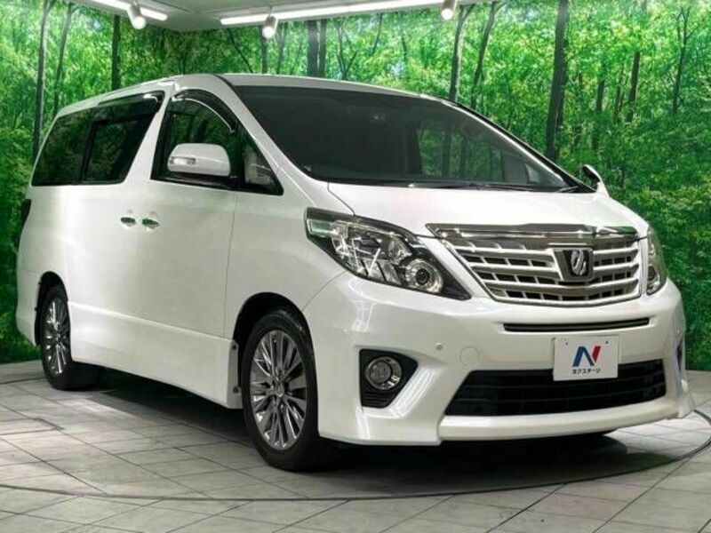 ALPHARD-17