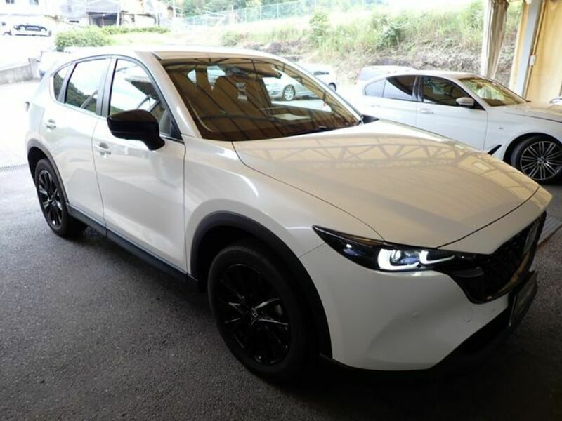 CX-5-3