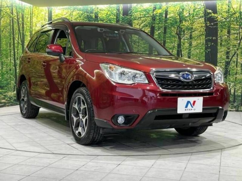 FORESTER-17